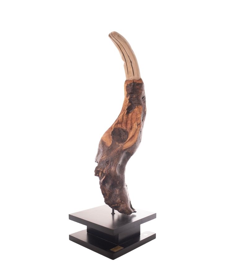 Peresozo (Colección El Río Canta)