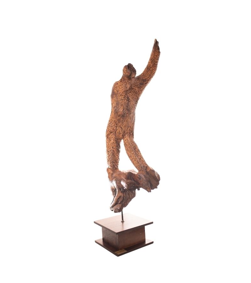 In-defenso (Colección El Río Canta)
