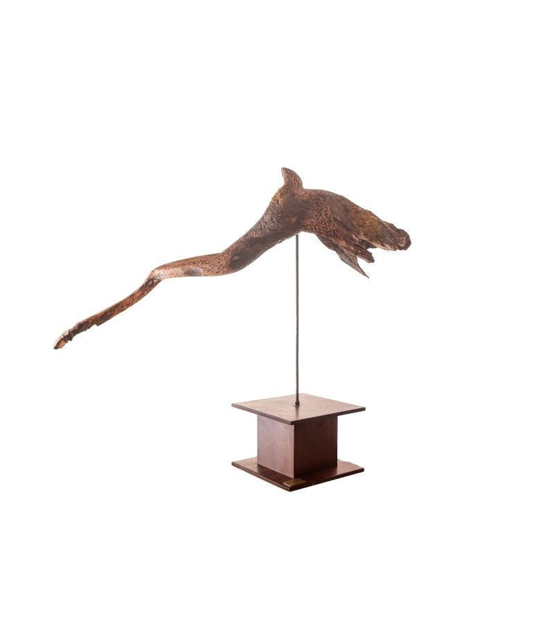 Tráfico (Colección El Río Canta)
